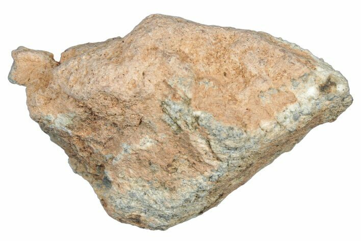 Lunar Meteorite Fragment ( g) - NWA #304084